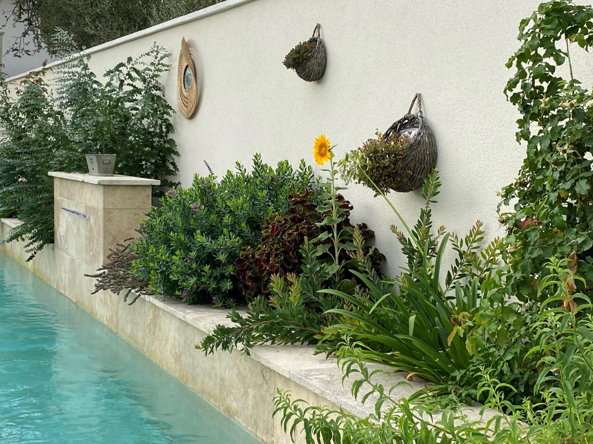 Les Logis De Cocagne Apartment Saint-Remy-de-Provence